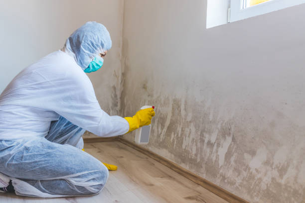 Crawl Space Mold Remediation treatment of floor joists in Sayville