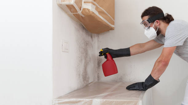 Attic Mold Remediation treatment on roof deck in Sayville